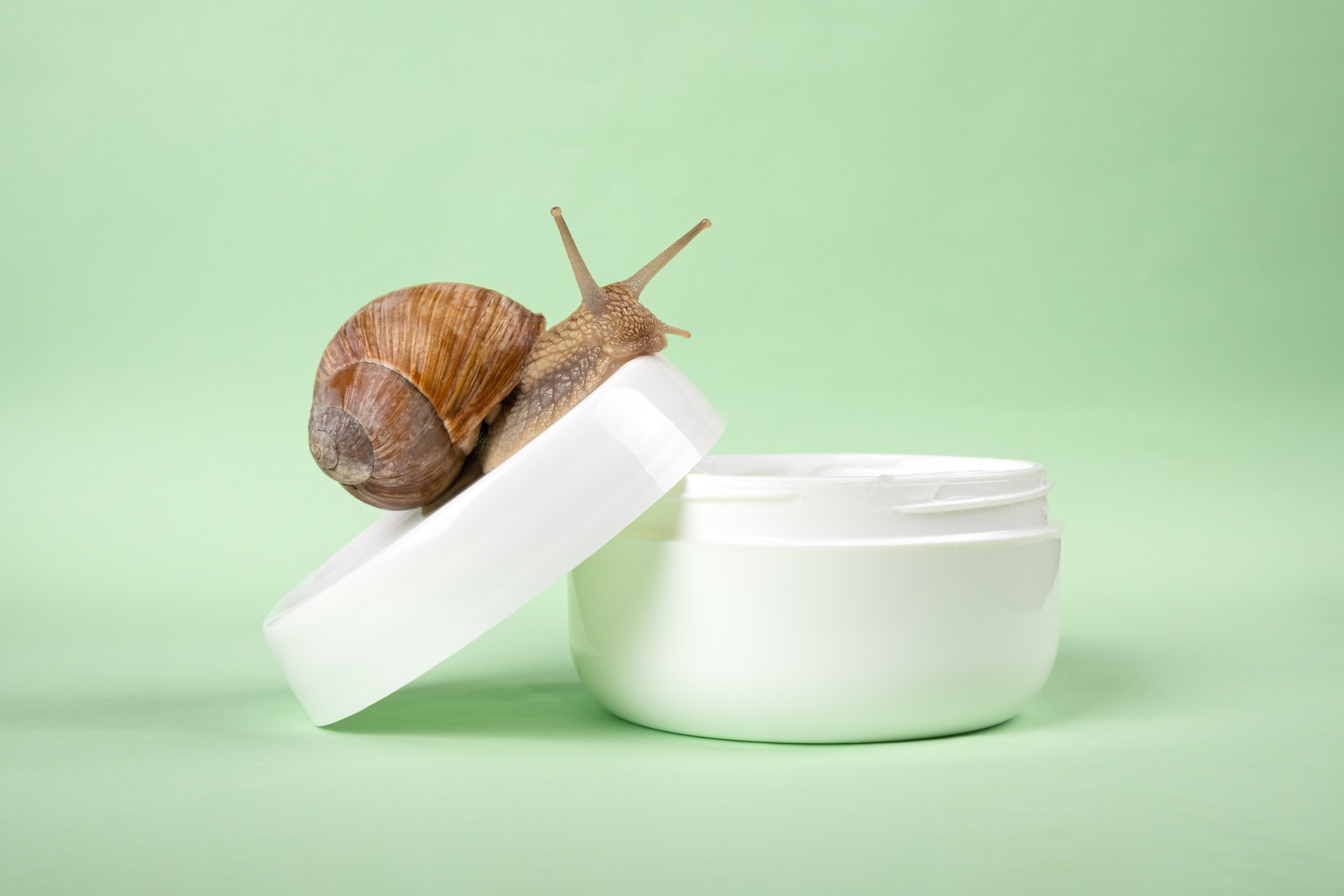 Snail Mucin 101: Why It's a K-Beauty Holy Grail Ingredient